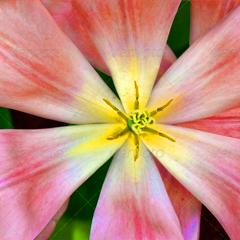 一键问题诊断的轰炸软件