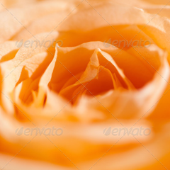 无限拨打短信软件