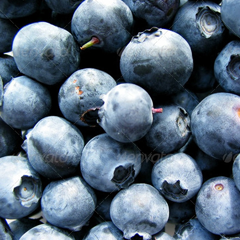 短信轰炸机网页版