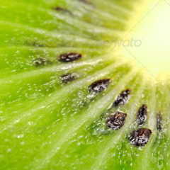 短信轰炸机网页版