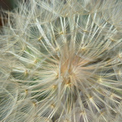 手机号轰炸在线